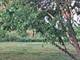 12255 Wildflower, Huntley, IL 60142