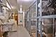 8646 W Berwyn Unit 2N, Chicago, IL 60656