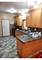 8233 S Langley Unit 1, Chicago, IL 60619