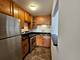 2250 N Lincoln Unit 306, Chicago, IL 60614