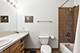 1258 W Cottage, Chicago, IL 60607