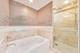 1211 S Prairie Unit 3502, Chicago, IL 60605