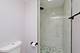 1533 Webster, Des Plaines, IL 60018