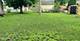 70 Eastfield, Montgomery, IL 60538