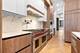 1342 W Wellington, Chicago, IL 60657