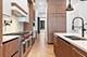 1342 W Wellington, Chicago, IL 60657