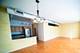 807 Davis Unit 403, Evanston, IL 60201