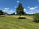 24 Autumn, St. Charles, IL 60175