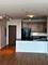 1841 S Calumet Unit 1702, Chicago, IL 60616
