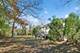 184 Maple, Highland Park, IL 60035