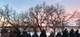 1761 William, Romeoville, IL 60446