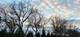 1761 William, Romeoville, IL 60446