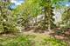 1254 Townes, Aurora, IL 60502