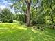 1412 Maple, Joliet, IL 60432