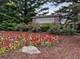3310 Rosecroft, Naperville, IL 60564