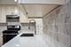 460 Michelangelo, Bolingbrook, IL 60440