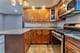 2504 S Blue Island Unit BR, Chicago, IL 60608