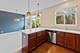 1423 W Remington, Round Lake, IL 60073