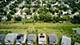 3919 Falcon, Naperville, IL 60564