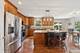 1558 Woodland, Bolingbrook, IL 60490