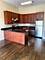 1038 W Waveland Unit 1, Chicago, IL 60613