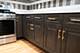 7343 S Kenwood, Chicago, IL 60619