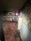 2536 W 109, Chicago, IL 60655