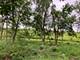400 Tee, Carpentersville, IL 60110