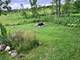 400 Tee, Carpentersville, IL 60110