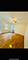 4935 Louise, Skokie, IL 60077