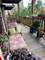 120 N Austin Unit S-3, Oak Park, IL 60302