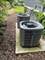 907 Glenwood, Joliet, IL 60435