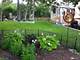 512 N Forest, Addison, IL 60101