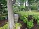 512 N Forest, Addison, IL 60101