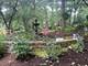512 N Forest, Addison, IL 60101