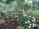 512 N Forest, Addison, IL 60101