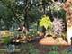 512 N Forest, Addison, IL 60101