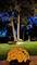 512 N Forest, Addison, IL 60101