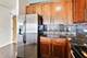 1841 S Calumet Unit 1602, Chicago, IL 60616