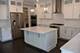 253 E Ellis, Libertyville, IL 60048