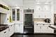 42 E Schiller, Chicago, IL 60610