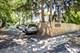 817 Hibbard Unit D, Wilmette, IL 60091