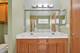 21551 W Larch, Plainfield, IL 60544