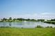 21551 W Larch, Plainfield, IL 60544