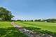 21551 W Larch, Plainfield, IL 60544