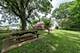 38 S Maple, Fox Lake, IL 60020