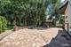 50 Timber Ridge, Yorkville, IL 60560
