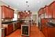 21139 Vivienne, Matteson, IL 60443