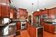 21139 Vivienne, Matteson, IL 60443