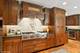 2007 Crestwood, Palatine, IL 60067